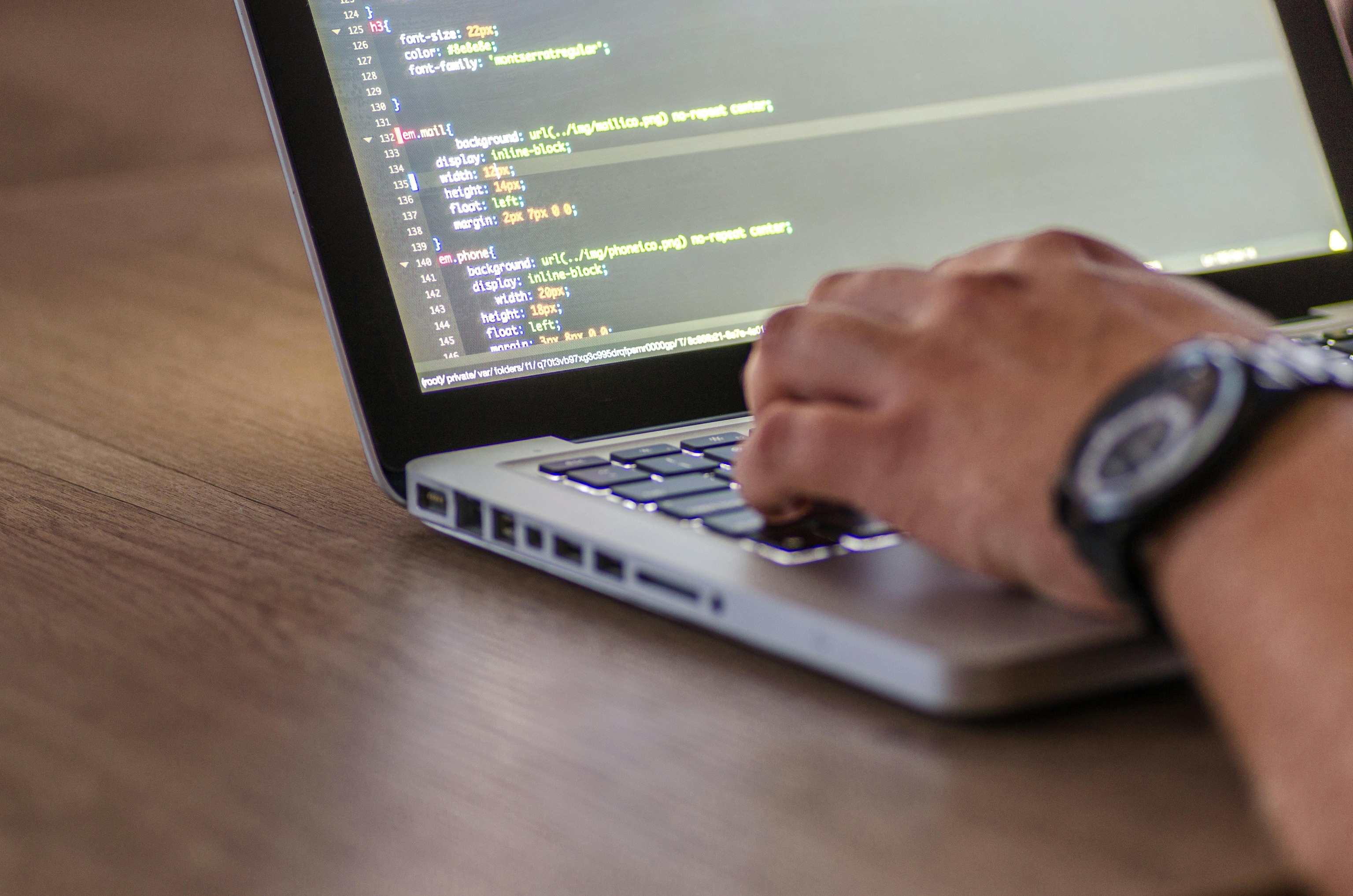 software developer